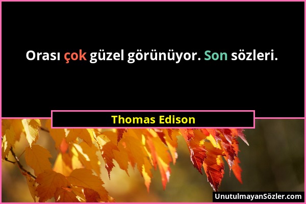 Thomas Edison - Orası çok güzel görünüyor. Son sözleri....