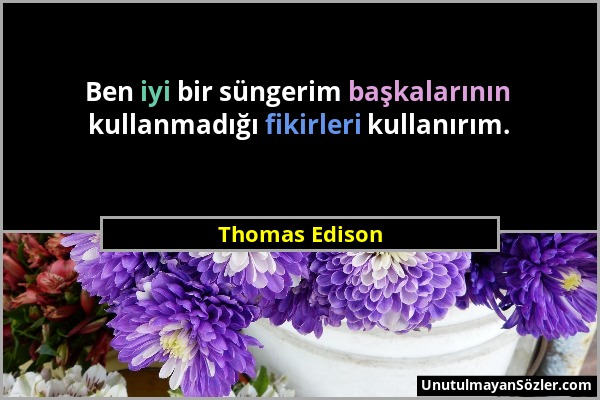 Thomas Edison - Ben iyi bir süngerim başkalarının kullanmadığı fikirleri kullanırım....