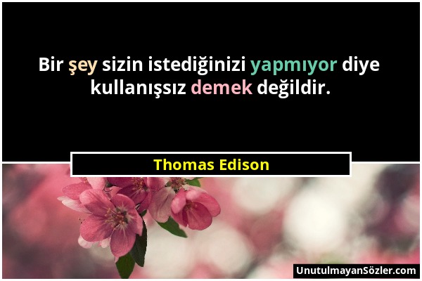 Thomas Edison - Bir şey sizin istediğinizi yapmıyor diye kullanışsız demek değildir....