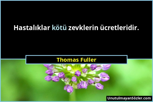 Thomas Fuller - Hastalıklar kötü zevklerin ücretleridir....