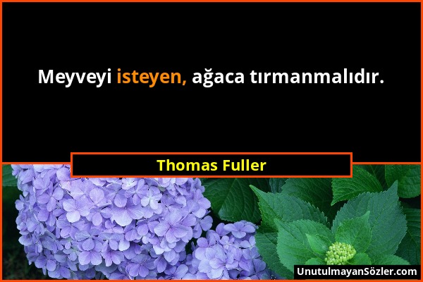 Thomas Fuller - Meyveyi isteyen, ağaca tırmanmalıdır....