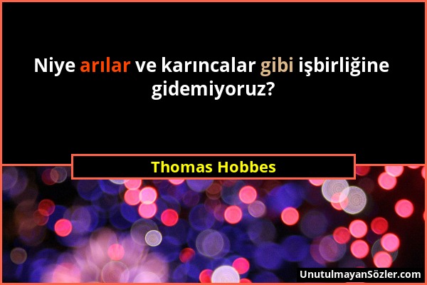 Thomas Hobbes - Niye arılar ve karıncalar gibi işbirliğine gidemiyoruz?...