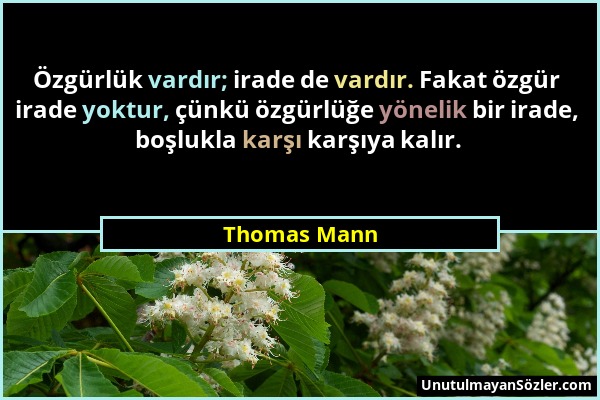 Thomas Mann - Özgürlük vardır; irade de vardır. Fakat özgür irade yoktur, çünkü özgürlüğe yönelik bir irade, boşlukla karşı karşıya kalır....