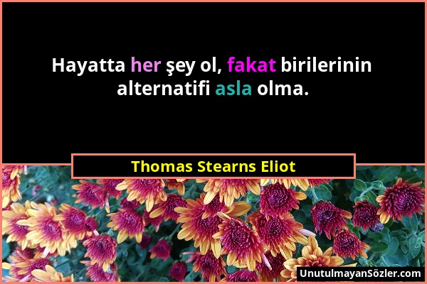 Thomas Stearns Eliot - Hayatta her şey ol, fakat birilerinin alternatifi asla olma....