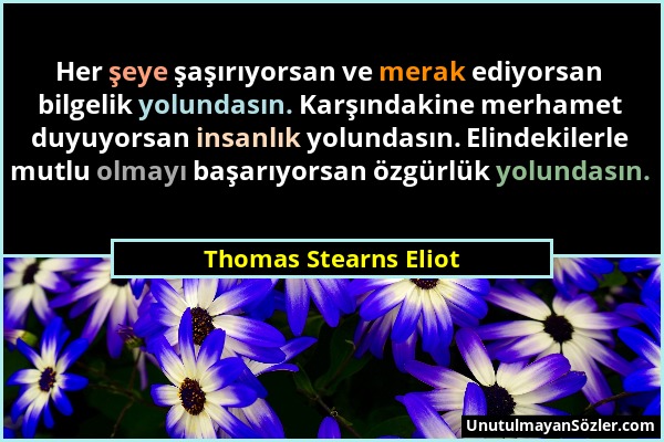 Thomas Stearns Eliot - Her şeye şaşırıyorsan ve merak ediyorsan bilgelik yolundasın. Karşındakine merhamet duyuyorsan insanlık yolundasın. Elindekiler...