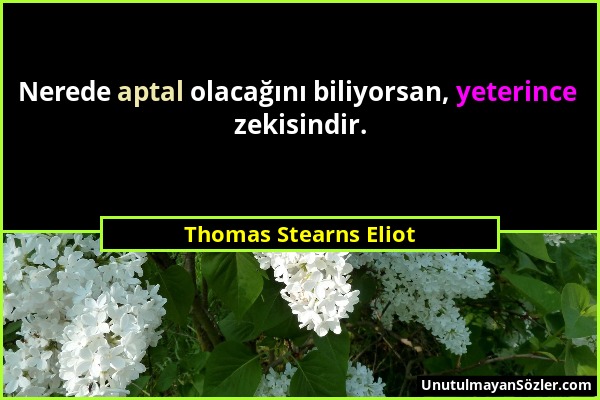 Thomas Stearns Eliot - Nerede aptal olacağını biliyorsan, yeterince zekisindir....
