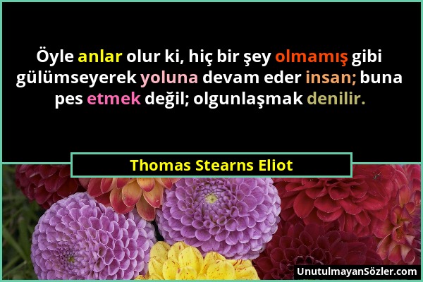 Thomas Stearns Eliot - Öyle anlar olur ki, hiç bir şey olmamış gibi gülümseyerek yoluna devam eder insan; buna pes etmek değil; olgunlaşmak denilir....