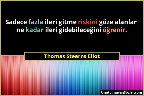 Thomas Stearns Eliot - Sadece fazla ileri gitme riskini göze alanlar ne kadar ileri gidebileceğini öğrenir....