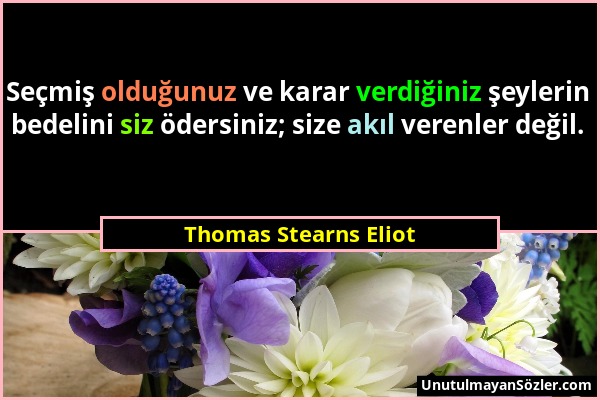 Thomas Stearns Eliot - Seçmiş olduğunuz ve karar verdiğiniz şeylerin bedelini siz ödersiniz; size akıl verenler değil....