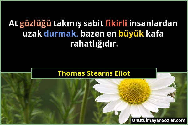Thomas Stearns Eliot - At gözlüğü takmış sabit fikirli insanlardan uzak durmak, bazen en büyük kafa rahatlığıdır....