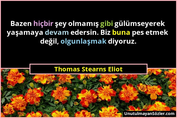 Thomas Stearns Eliot - Bazen hiçbir şey olmamış gibi gülümseyerek yaşamaya devam edersin. Biz buna pes etmek değil, olgunlaşmak diyoruz....