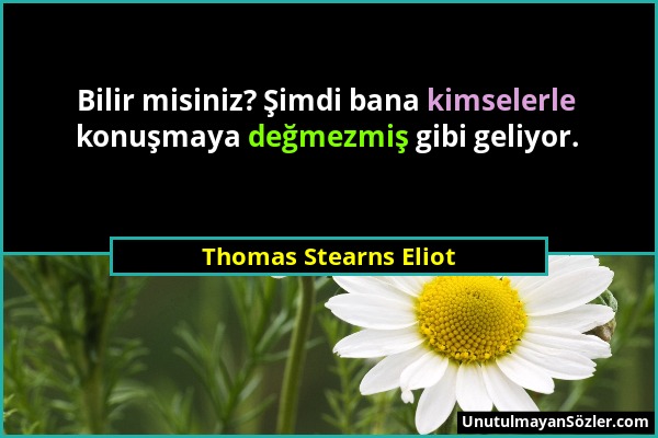 Thomas Stearns Eliot - Bilir misiniz? Şimdi bana kimselerle konuşmaya değmezmiş gibi geliyor....