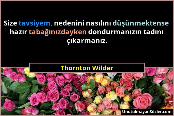 Thornton Wilder - Size tavsiyem, nedenini nasılını düşünmektense hazır tabağınızdayken dondurmanızın tadını çıkarmanız....