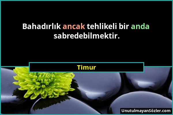 Timur - Bahadırlık ancak tehlikeli bir anda sabredebilmektir....