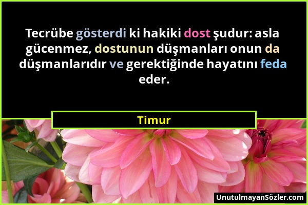 Timur - Tecrübe gösterdi ki hakiki dost şudur: asla gücenmez, dostunun düşmanları onun da düşmanlarıdır ve gerektiğinde hayatını feda eder....