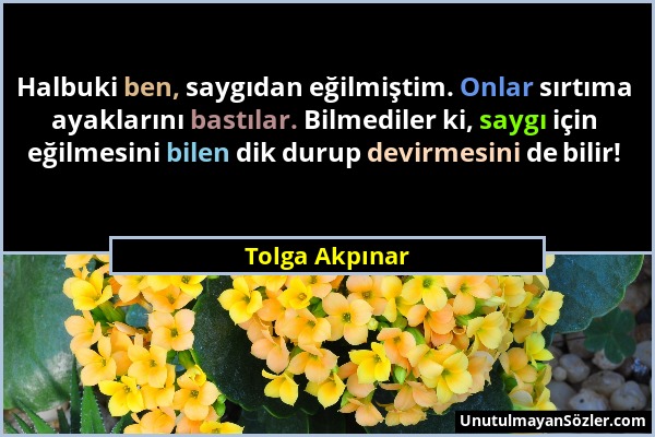 Tolga Akpınar - Halbuki ben, saygıdan eğilmiştim. Onlar sırtıma ayaklarını bastılar. Bilmediler ki, saygı için eğilmesini bilen dik durup devirmesini...