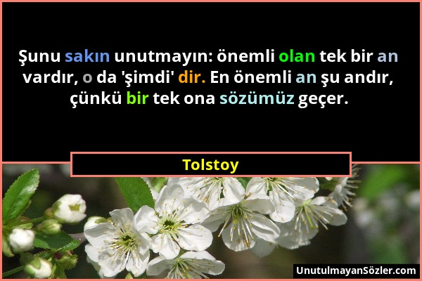 Tolstoy - Şunu sakın unutmayın: önemli olan tek bir an vardır, o da 'şimdi' dir. En önemli an şu andır, çünkü bir tek ona sözümüz geçer....