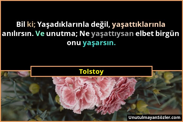 Tolstoy - Bil ki; Yaşadıklarınla değil, yaşattıklarınla anılırsın. Ve unutma; Ne yaşattıysan elbet birgün onu yaşarsın....