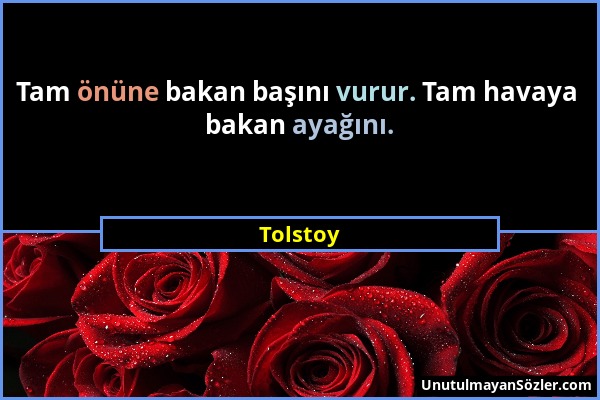 Tolstoy - Tam önüne bakan başını vurur. Tam havaya bakan ayağını....