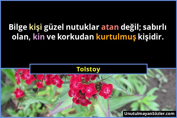 Tolstoy - Bilge kişi güzel nutuklar atan değil; sabırlı olan, kin ve korkudan kurtulmuş kişidir....