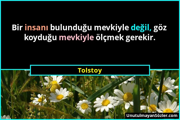 Tolstoy - Bir insanı bulunduğu mevkiyle değil, göz koyduğu mevkiyle ölçmek gerekir....