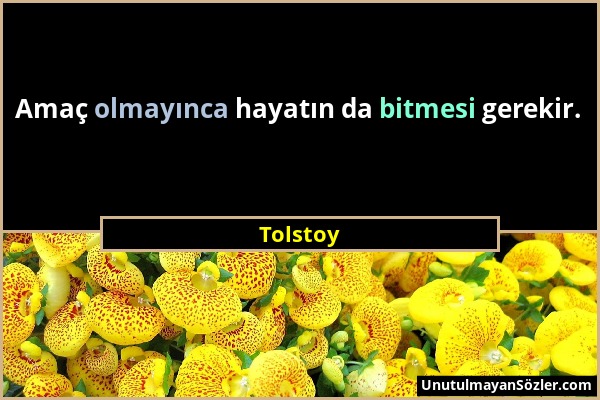 Tolstoy - Amaç olmayınca hayatın da bitmesi gerekir....