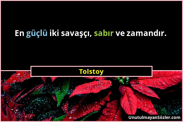 Tolstoy - En güçlü iki savaşçı, sabır ve zamandır....