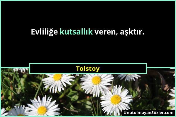 Tolstoy - Evliliğe kutsallık veren, aşktır....