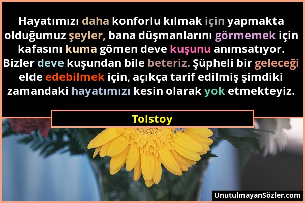 Tolstoy - Hayatımızı daha konforlu kılmak için yapmakta olduğumuz şeyler, bana düşmanlarını görmemek için kafasını kuma gömen deve kuşunu anımsatıyor....