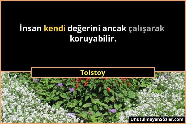 Tolstoy - İnsan kendi değerini ancak çalışarak koruyabilir....