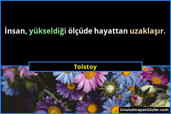 Tolstoy - İnsan, yükseldiği ölçüde hayattan uzaklaşır....