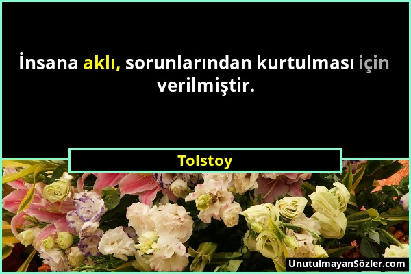 Tolstoy - İnsana aklı, sorunlarından kurtulması için verilmiştir....