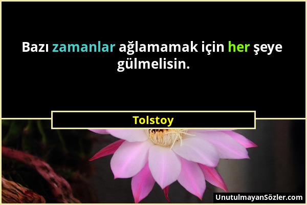 Tolstoy - Bazı zamanlar ağlamamak için her şeye gülmelisin....