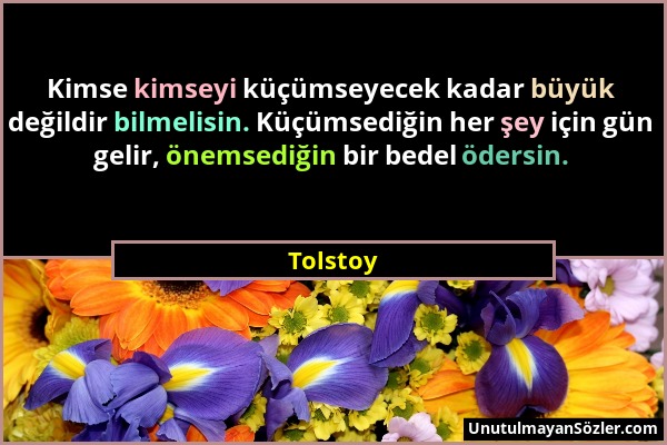 Tolstoy - Kimse kimseyi küçümseyecek kadar büyük değildir bilmelisin. Küçümsediğin her şey için gün gelir, önemsediğin bir bedel ödersin....