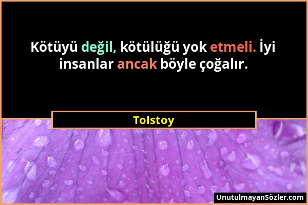 Tolstoy - Kötüyü değil, kötülüğü yok etmeli. İyi insanlar ancak böyle çoğalır....