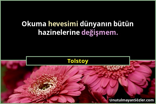 Tolstoy - Okuma hevesimi dünyanın bütün hazinelerine değişmem....