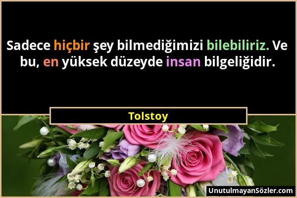 Tolstoy - Sadece hiçbir şey bilmediğimizi bilebiliriz. Ve bu, en yüksek düzeyde insan bilgeliğidir....