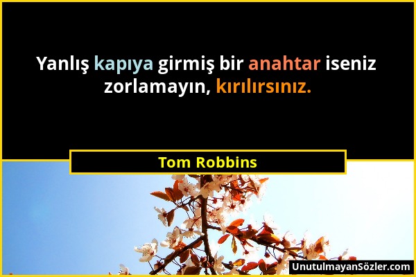 Tom Robbins - Yanlış kapıya girmiş bir anahtar iseniz zorlamayın, kırılırsınız....