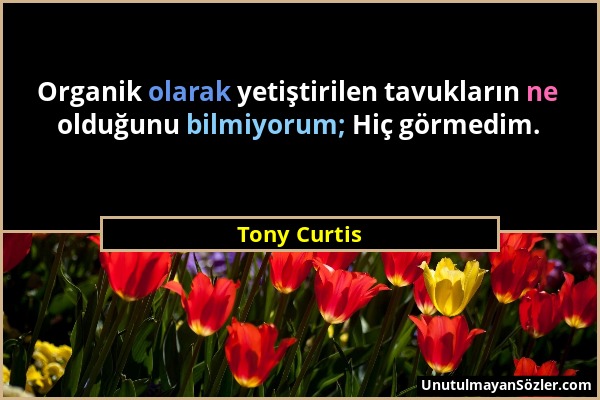 Tony Curtis - Organik olarak yetiştirilen tavukların ne olduğunu bilmiyorum; Hiç görmedim....