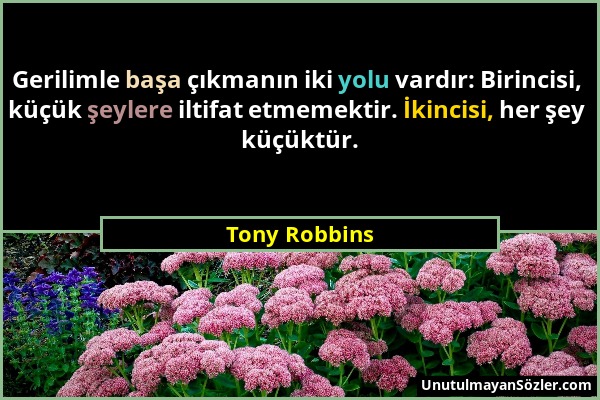 Tony Robbins - Gerilimle başa çıkmanın iki yolu vardır: Birincisi, küçük şeylere iltifat etmemektir. İkincisi, her şey küçüktür....