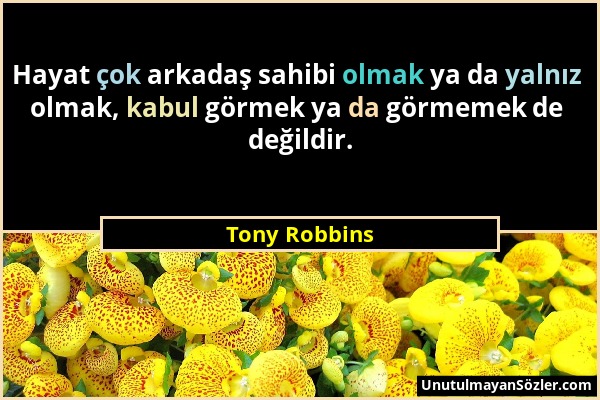 Tony Robbins - Hayat çok arkadaş sahibi olmak ya da yalnız olmak, kabul görmek ya da görmemek de değildir....