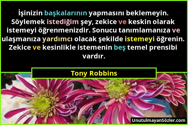 Tony Robbins - İşinizin başkalarının yapmasını beklemeyin. Söylemek istediğim şey, zekice ve keskin olarak istemeyi öğrenmenizdir. Sonucu tanımlamanız...