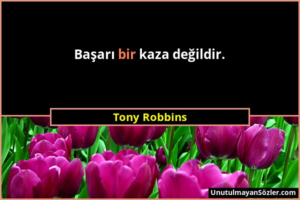 Tony Robbins - Başarı bir kaza değildir....
