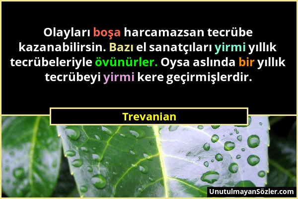 Trevanian - Olayları boşa harcamazsan tecrübe kazanabilirsin. Bazı el sanatçıları yirmi yıllık tecrübeleriyle övünürler. Oysa aslında bir yıllık tecrü...