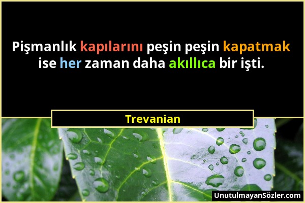 Trevanian - Pişmanlık kapılarını peşin peşin kapatmak ise her zaman daha akıllıca bir işti....