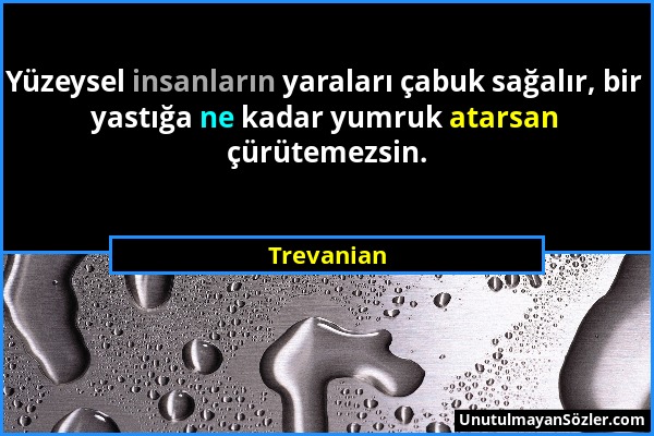 Trevanian - Yüzeysel insanların yaraları çabuk sağalır, bir yastığa ne kadar yumruk atarsan çürütemezsin....