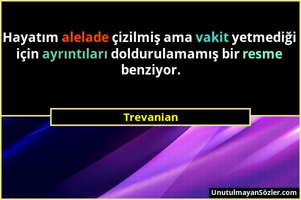 Trevanian - Hayatım alelade çizilmiş ama vakit yetmediği için ayrıntıları doldurulamamış bir resme benziyor....