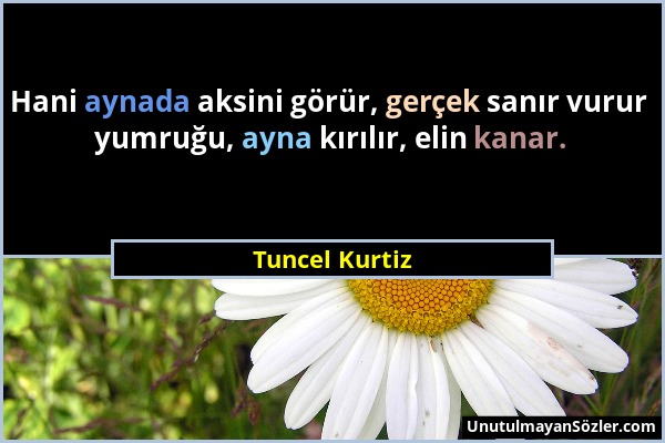 Tuncel Kurtiz - Hani aynada aksini görür, gerçek sanır vurur yumruğu, ayna kırılır, elin kanar....