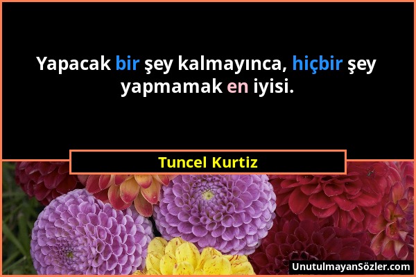 Tuncel Kurtiz - Yapacak bir şey kalmayınca, hiçbir şey yapmamak en iyisi....