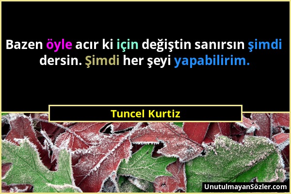 Tuncel Kurtiz - Bazen öyle acır ki için değiştin sanırsın şimdi dersin. Şimdi her şeyi yapabilirim....